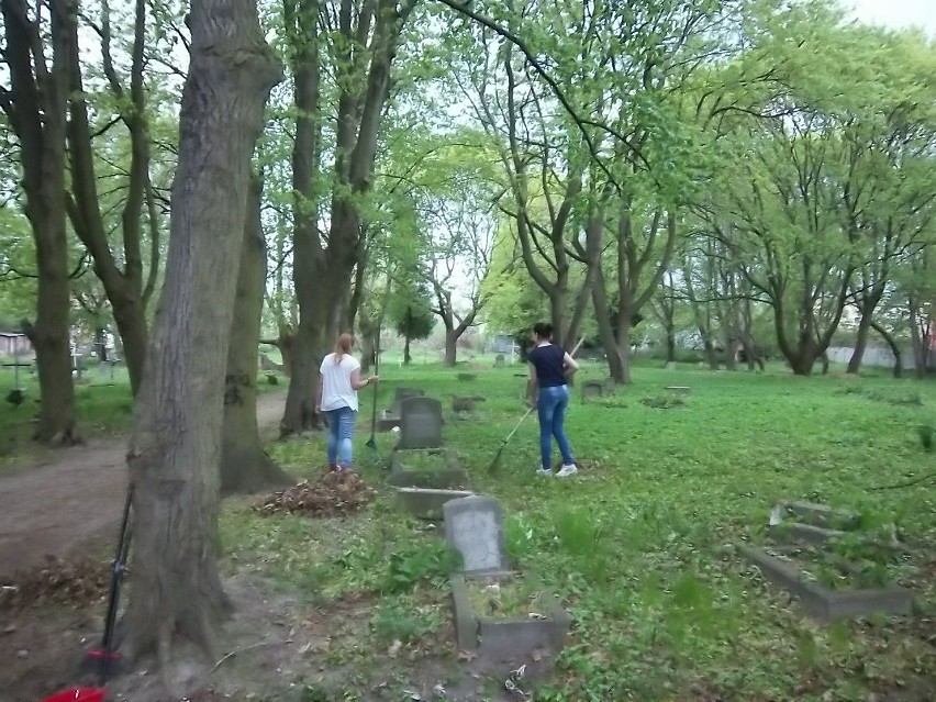 Malborczycy uprzedzili Urząd Miasta i rozpoczęli sprzątanie cmentarza przy ul. Jagiellońskiej