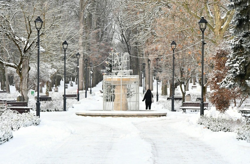 Zima 2024 w Busku-Zdroju. Zdjęcia z piątku, 19 stycznia.