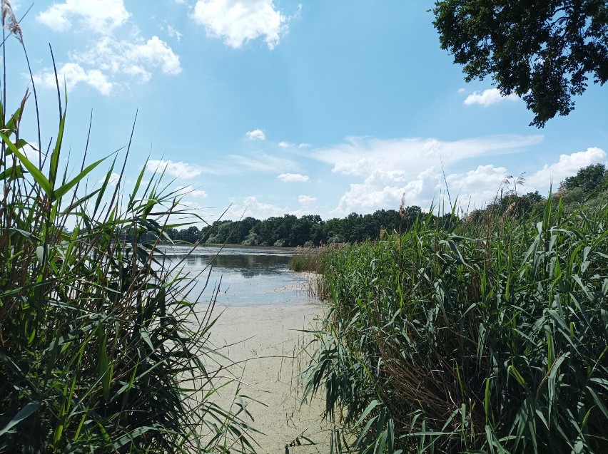 Kraina tysiąca stawów wygląda jak polskie Mazury