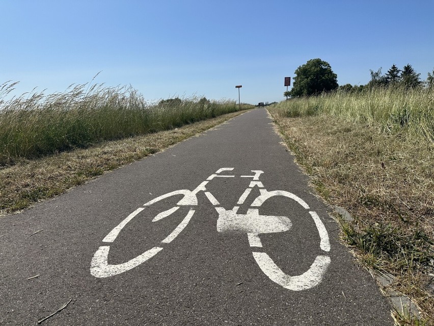Miasto Tczew chce wybudować nowe drogi rowerowe