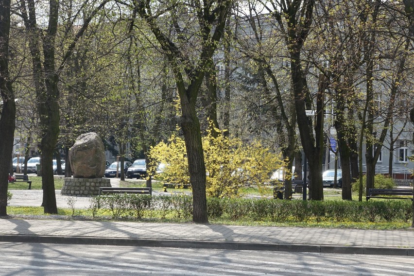 Gostyń. Park Miejski to idealne miejsce, w którym odpoczniesz na łonie natury i zapomnisz o miejskim zgiełku. Wiosenna odsłona [ZDJĘCIA]