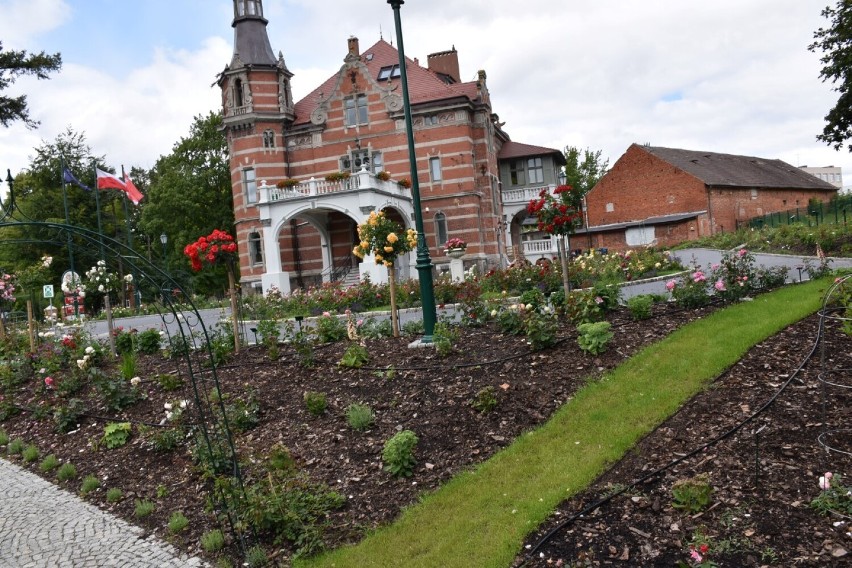 Rosarium w Sławnie