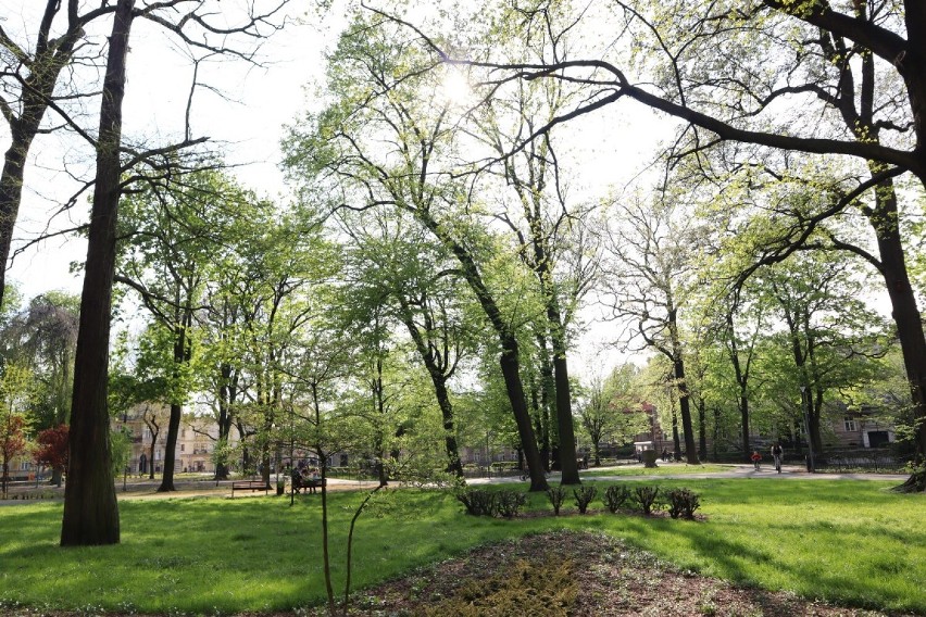 Park na Placu Kościuszki po modernizacji