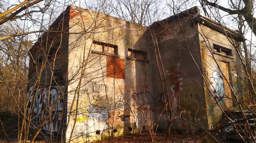 Tajemniczy bunkier w Warszawie. Ukryty jest w Lesie Kabackim. Co znajduje się w tajnym budynku?
