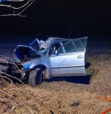 Dolny Śląsk. Koszmarny wypadek pod Ścinawą. Samochód uderzył w drzewo. Kierowca zginął na miejscu