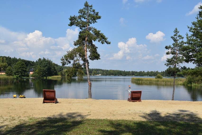 Wypożyczalnia sprzętu rekreacyjnego Koło Lasu w Dwudniakach...