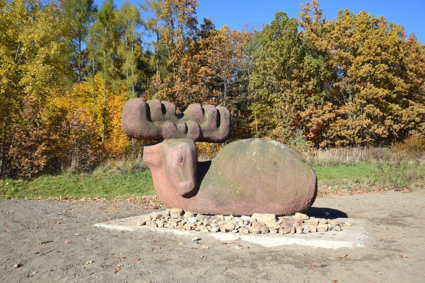 Rzeźba łosia już w Kielcach jest. Potrzebne jeszcze rondo imienia Stefana Maja [ZDJĘCIA, WIDEO]