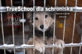 True School dla zwierząt ze schroniska