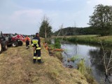 Gm. Sławno. Strażacy pomagali uratować krowę i cielaka ZDJĘCIA, WIDEO