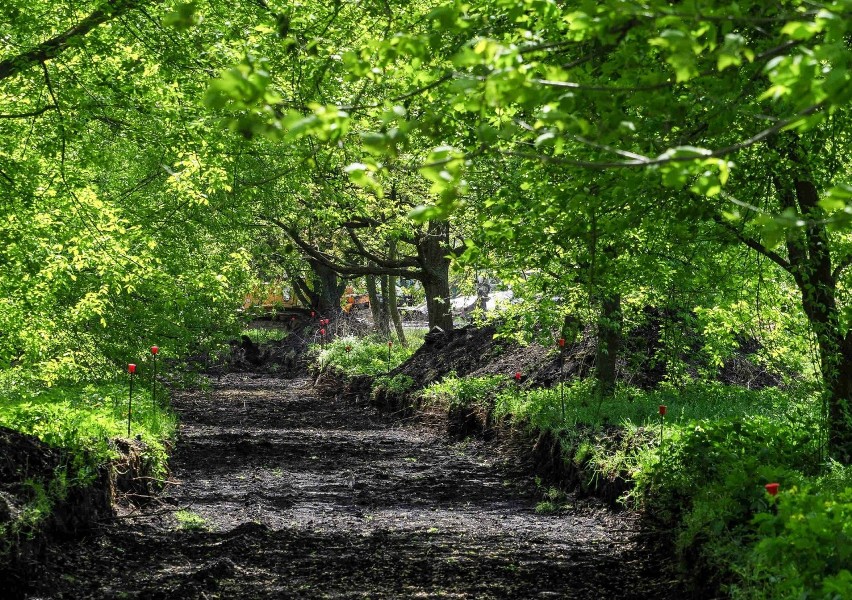 Park Ludowy w Lublinie w nowej odsłonie. Sprawdź, co już się zmieniło. Zobacz zdjęcia  