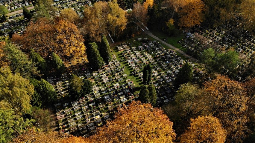 Kraków. Cmentarz batowicki w jesiennych kolorach [ZDJĘCIA Z DRONA]