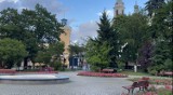 Radomsko: Miasto planuje przebudowę placu 3 Maja. „Nie będzie masowej wycinki drzew” - zapewnia prezydent. FILM