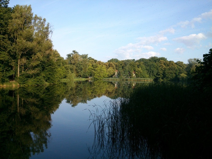 Park Sołacki - jeden z siedmiu cudów Poznania [Zdjęcia]
