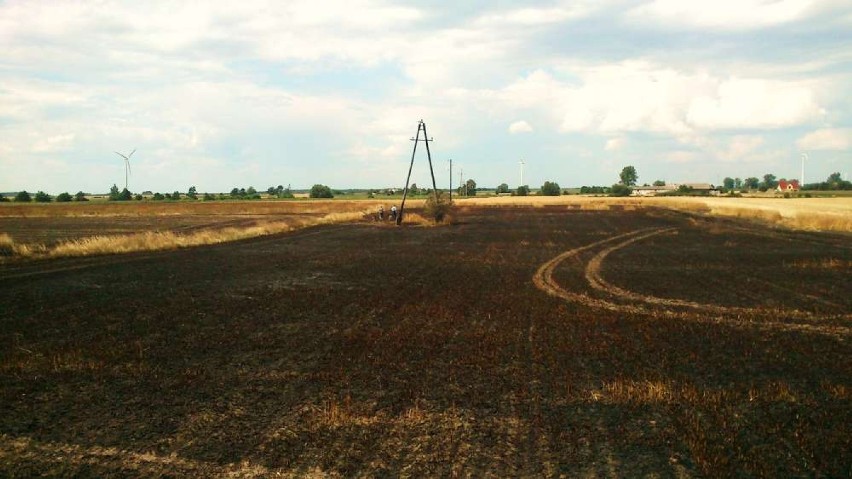 Pożar zboża w gminie Margonin. Spłonęło 12 hektarów [FOTO]