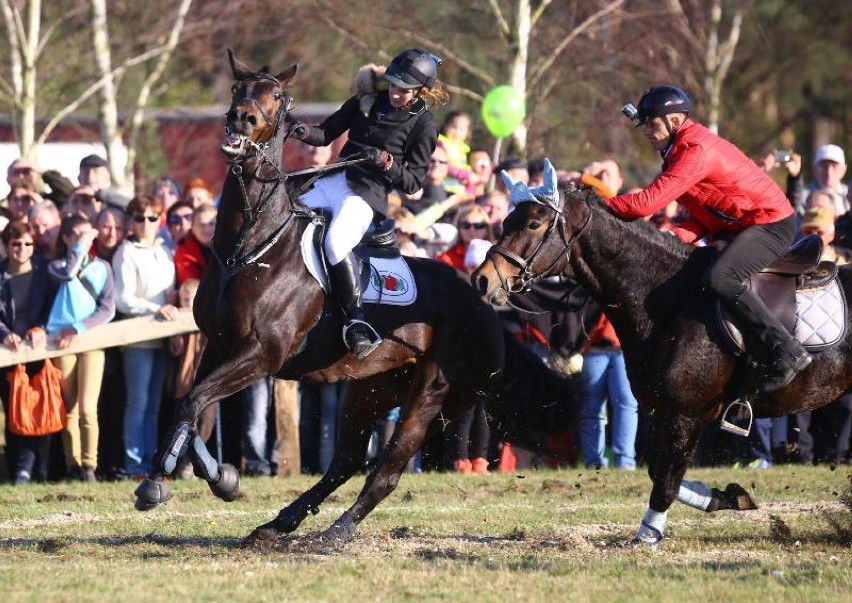 Hubertus Spalski 2014: Hubertus Jeździecki w Spale