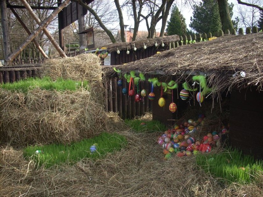 Wielkanocna wystawa jaj w zoo