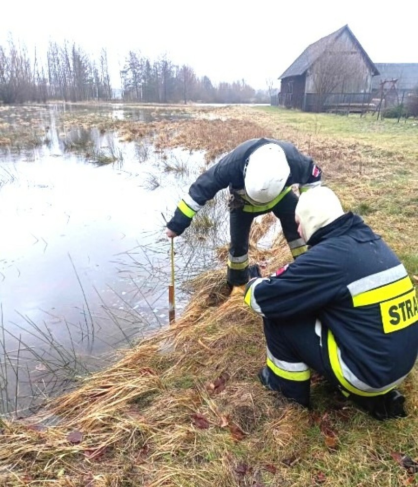 Wysoki poziom Warty w gminie Radomsko. Urzędnicy i strażacy uspokajają: "nie grozi nam powódź". ZDJĘCIA