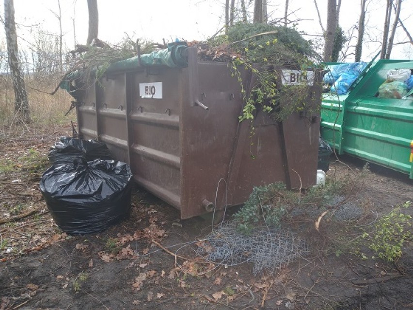 Porzucone śmieci w gminie Wijewo