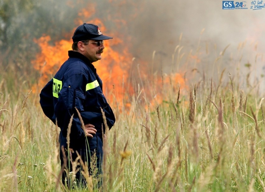 Wypalanie traw w Szczecinie. Strażacy ostrzegają 