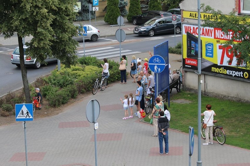 Złotowski jeleń kibicuje naszym piłkarzom