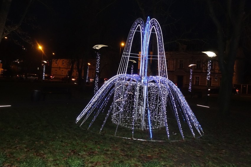 Gostyń. Park miejski w Gostyniu to świetne miejsce na styczniowy spacer. Sprawdziliśmy [ZDJĘCIA]