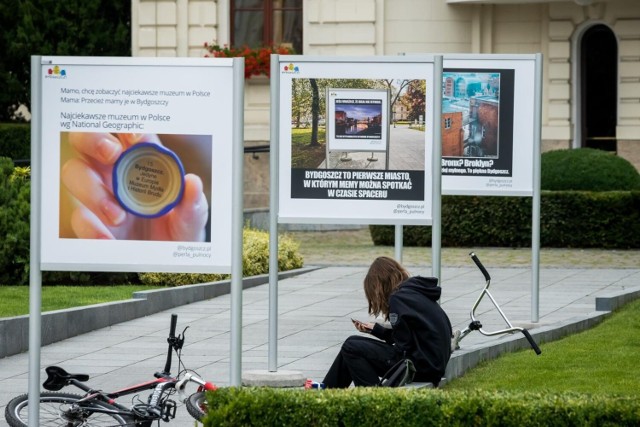 Tablice z "bydgoskimi memami" znajdują się w trzech różnych lokalizacjach Bydgoszczy: na Wyspie Młyńskiej, Placu Wolności oraz przed ratuszem na Starym Rynku.