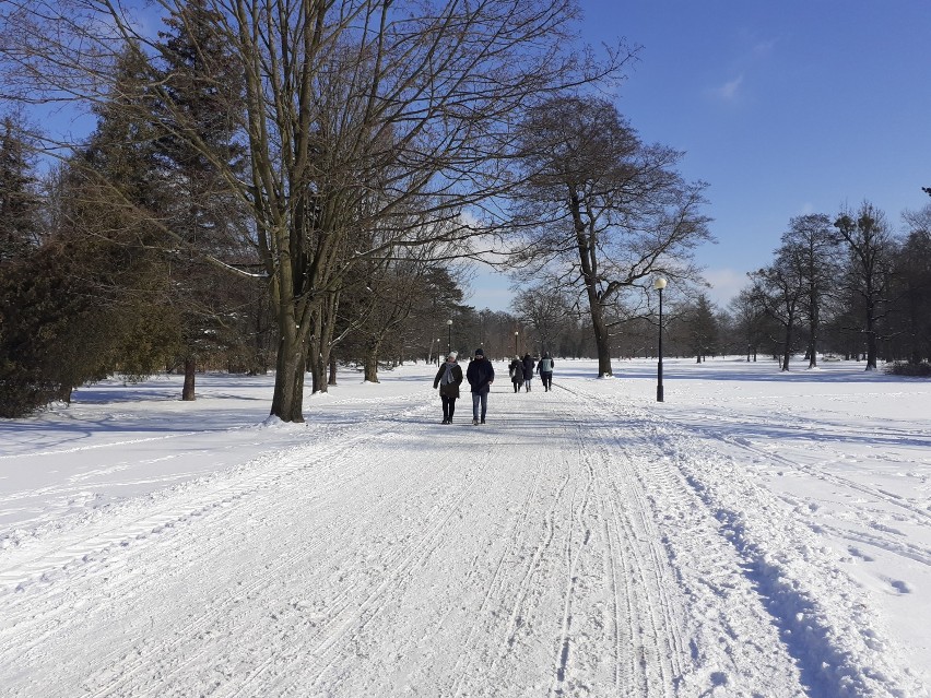 Park w Świerklańcu zimą - idealne miejsce na walentynki 2021 [ZDJĘCIA]