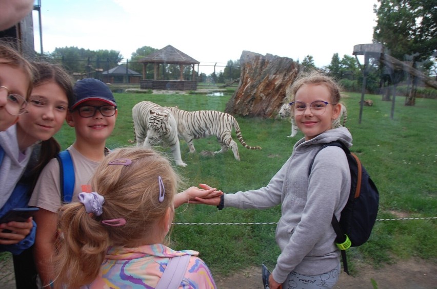 Wycieczka do Zoo w Borysewie