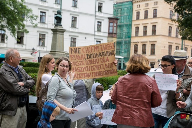 Protesty w sprawie wielkiego planu dla zieleni