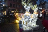 Miasto już szuka firmy, która wykona dekoracje świąteczne