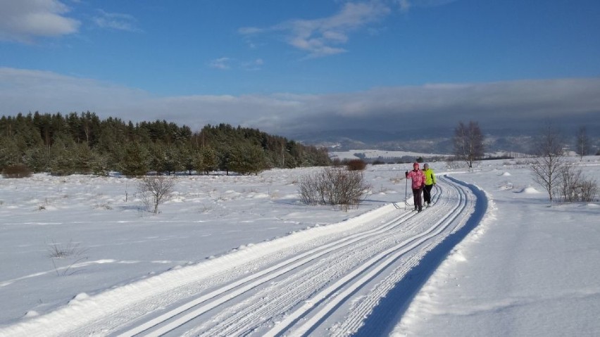 Nowy Targ. Doskonałe warunki na trasach biegowych dla narciarzy [ZDJĘCIA]
