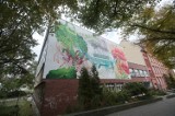 Powstał pierwszy botaniczny mural w Szczecinie. Można go zobaczyć na ścianie Instytutu Biologii Uniwersytetu Szczecińskiego [ZDJĘCIA]