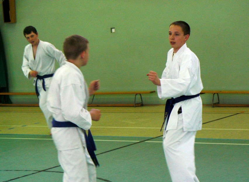 Kwietniowe zgrupowanie karate shotokan w Kwilczu