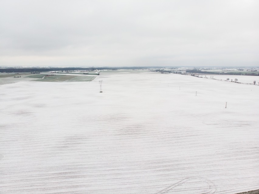 W Grudziądzu i regionie spadł śnieg. Zimowe krajobrazy w kwietniu [galeria, wideo z drona]