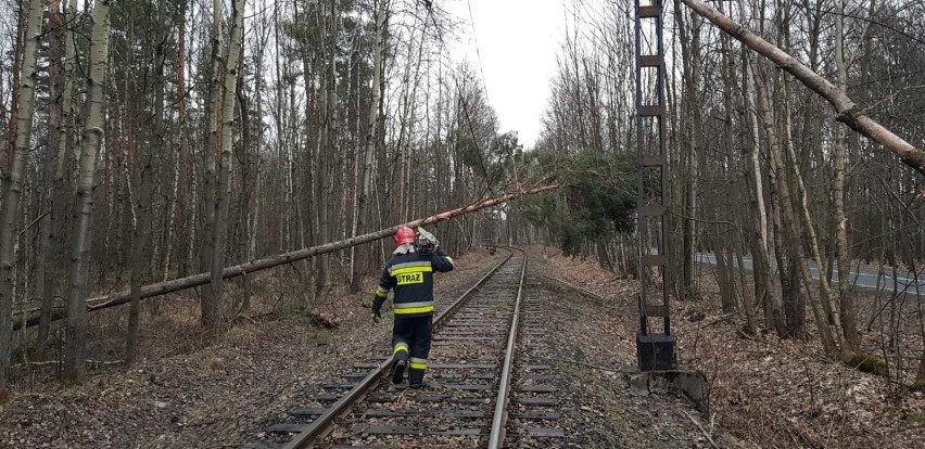 Powalone drzewa na torowiskach spowodowały wstrzymanie ruchu...