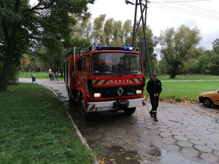 Wichura w powiecie ostrowskim: powalone drzewa, uszkodzone dachy, zablokowane drogi, brak prądu...