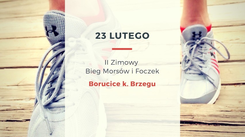 23 lutego - II Zimowy Bieg Morsów i Foczek - Borucice (k....