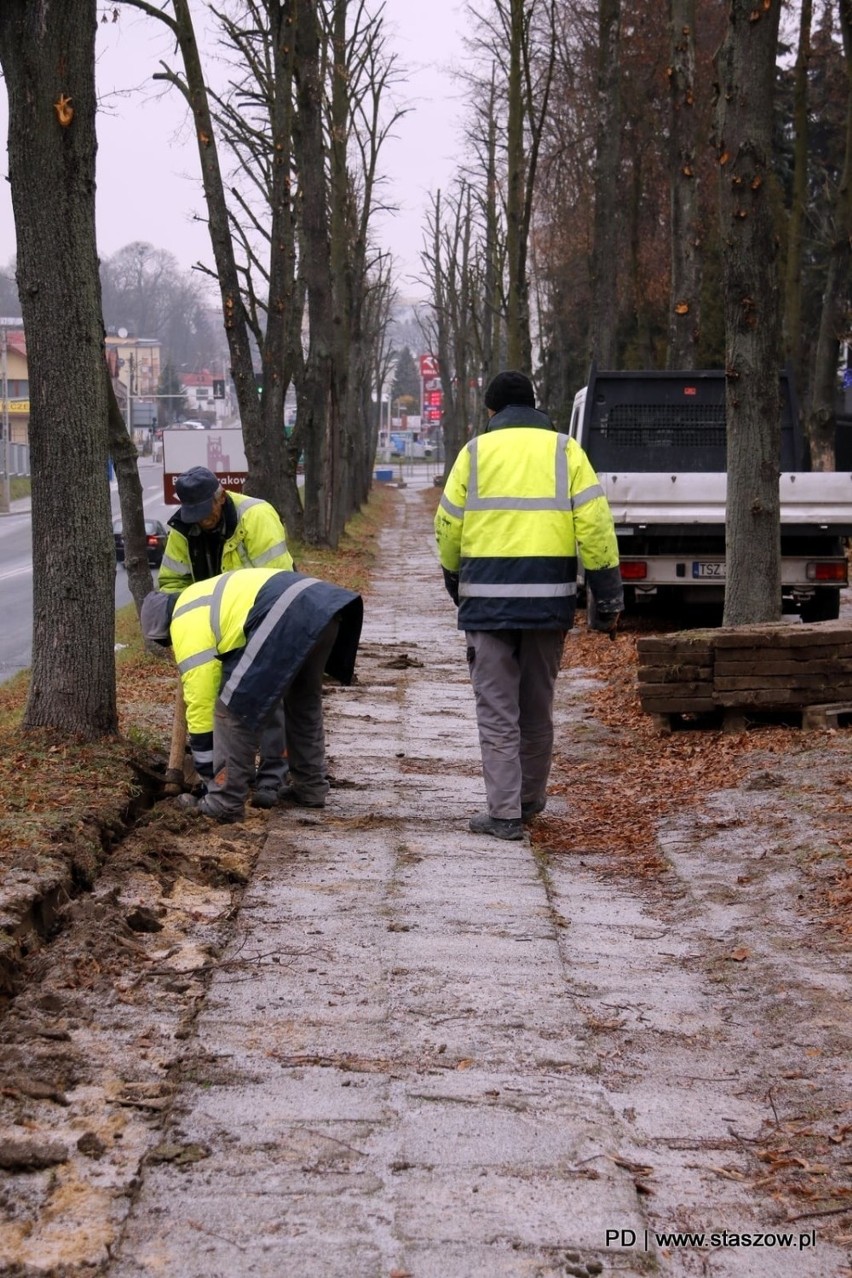 Rozpoczął się remont chodnika przy ulicy Krakowskiej w Staszowie. Mieszkańcy odetchnęli z ulgą (ZDJĘCIA)