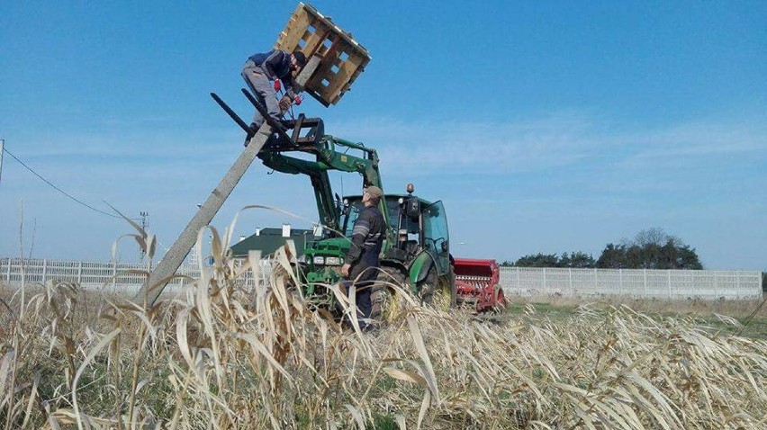 Opatów: Postawili gniazdo bocianom [FOTO]