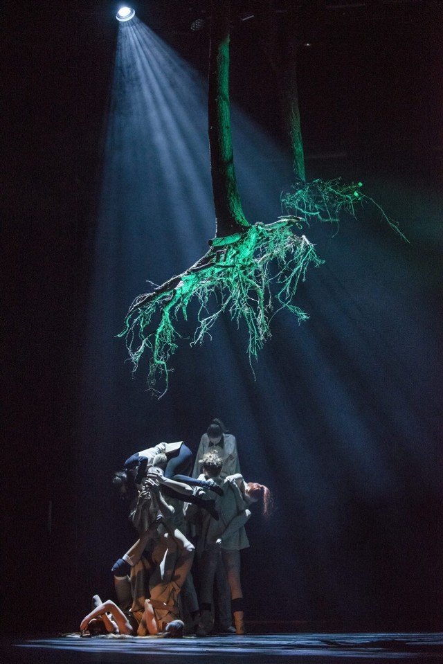 Teatr Muzyczny Capitol zaprasza na premierę Sceny Tańca Capitol.