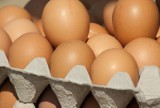 Ponad 4 miliony jaj skażonych antybiotykiem. Służby weterynaryjne wycofują je z obrotu