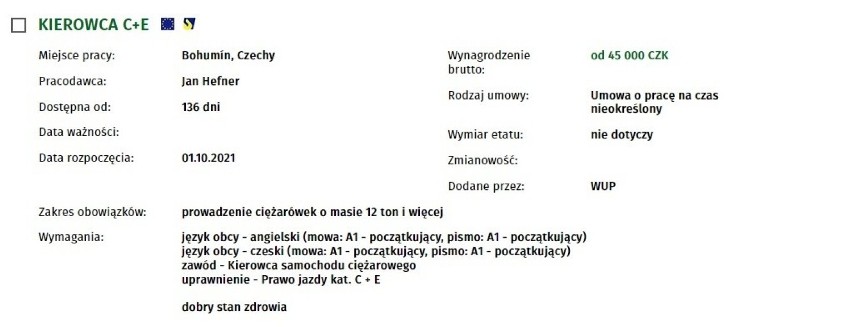 Szukasz dobrze płatnej pracy? Jest mnóstwo zagranicznych ofert [ZOBACZ TOP 10 OFERT Z NAJWYŻSZYMI ZAROBKAMI]