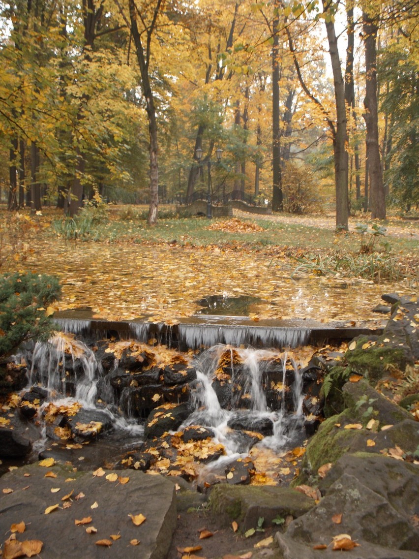 Park Zamkowy w Żywcu