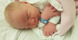 Września: Noworodki urodzone w Szpitalu Powiatowym we Wrześni [październik/listopad 2019] 