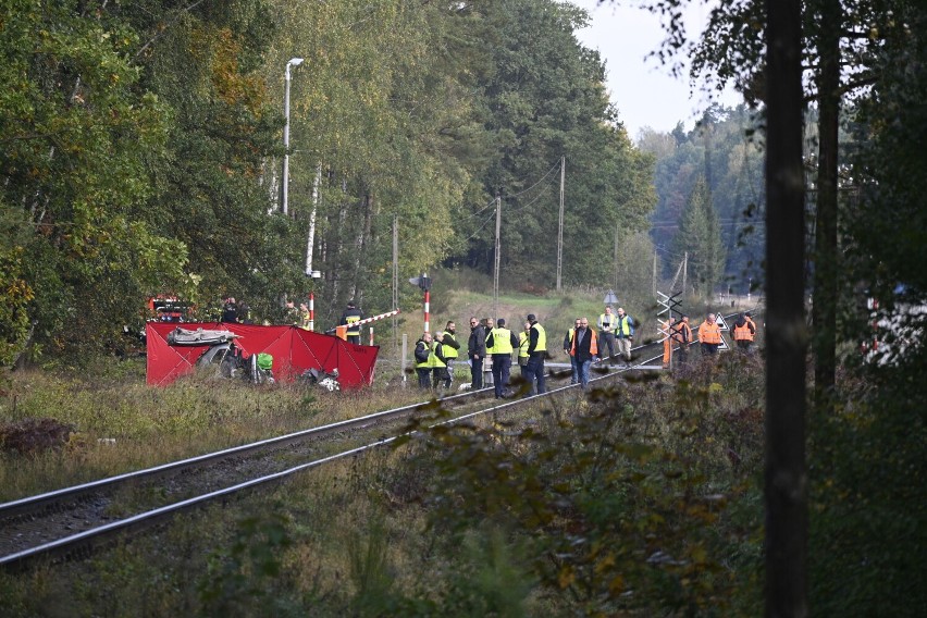 Gerard Mioduski, ojciec Dariusza Mioduskiego, właściciela...