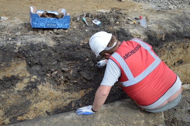 Ludzkie szczątki znaleziono około metra pod poziomem jezdni na Placu Świętej Kingi przed Bazyliką św. Mikołaja w Bochni, 12.04.2021