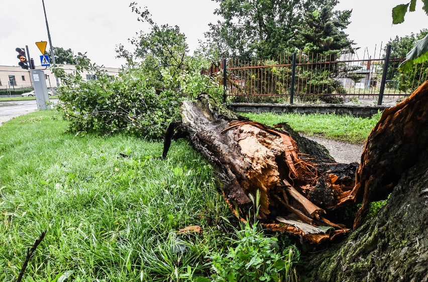 Instytut Meteorologii i Gospodarki Wodnej wydał ostrzeżenie dla powiatu pleszewskiego przed burzami z gradem