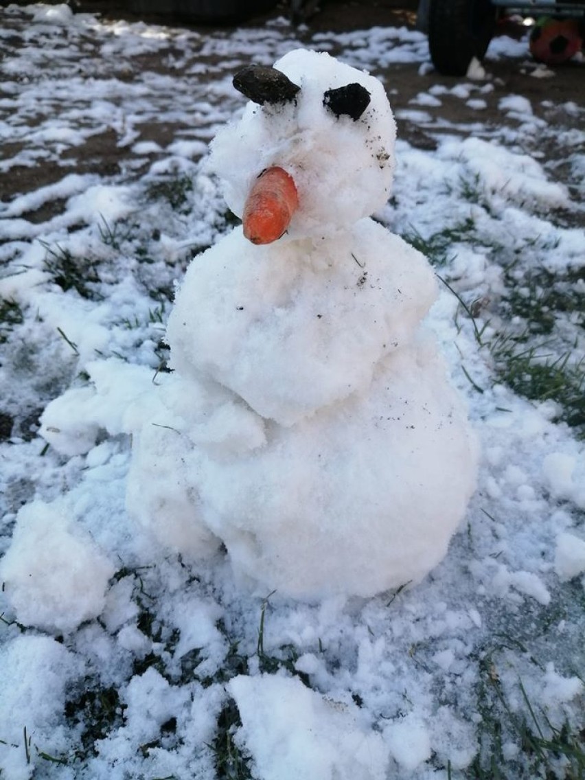 Powiat Gniezno śnieg w wiosennym wydaniu. Pogoda wyprzedziła prima aprilis i zrobiła kawał w ostatnim dniu marca