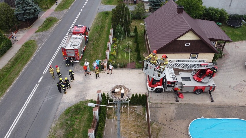 Strażacy i pracownicy zakładu energetycznego pomogli...