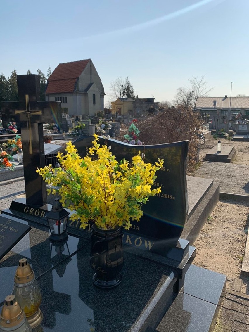 Września: Cmentarz Farny we Wrześni - ludzi brak, ale Wielkanoc widoczna. Czy można pójść na cmentarz?